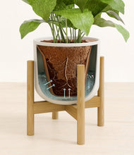 Load image into Gallery viewer, Natural Bamboo stand:bamboo