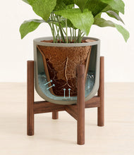 Load image into Gallery viewer, Sage Green stand:walnut