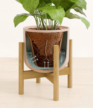 Load image into Gallery viewer, Sandy Pink stand:bamboo