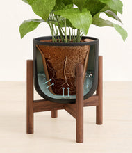 Load image into Gallery viewer, Stone Black stand:walnut