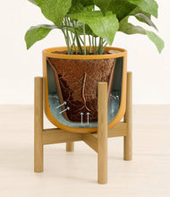 Load image into Gallery viewer, Sunset Orange stand:bamboo