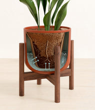 Load image into Gallery viewer, Earth Red stand:walnut