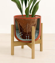 Load image into Gallery viewer, Earth Red stand:bamboo