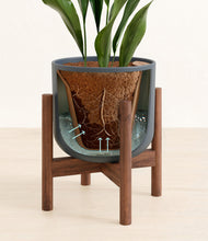 Load image into Gallery viewer, Iron Gray stand:walnut