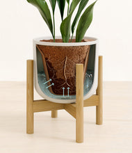 Load image into Gallery viewer, Natural Bamboo stand:bamboo