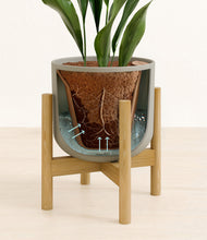 Load image into Gallery viewer, Sage Green stand:bamboo