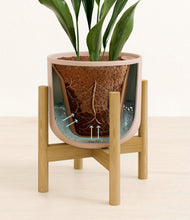 Load image into Gallery viewer, Sandy Pink stand:bamboo