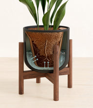 Load image into Gallery viewer, Stone Black stand:walnut