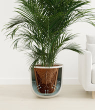Load image into Gallery viewer, Natural Bamboo