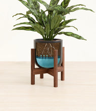 Load image into Gallery viewer, Stone Black stand:walnut