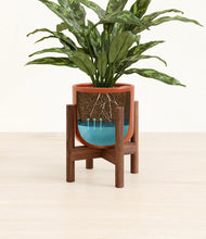 Load image into Gallery viewer, Glossy Red stand:walnut