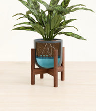 Load image into Gallery viewer, Iron Gray stand:walnut