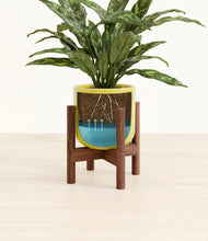 Load image into Gallery viewer, Key Lime Yellow stand:walnut