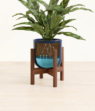 Load image into Gallery viewer, Twilight Blue stand:walnut