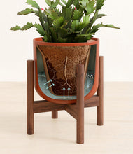 Load image into Gallery viewer, Earth Red stand:walnut