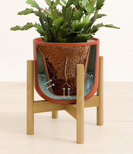 Load image into Gallery viewer, Earth Red stand:bamboo