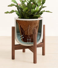 Load image into Gallery viewer, Natural Bamboo stand:walnut