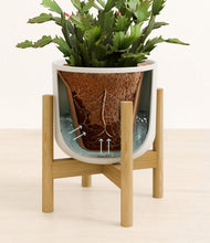 Load image into Gallery viewer, Natural Bamboo stand:bamboo