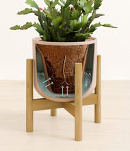 Load image into Gallery viewer, Sandy Pink stand:bamboo