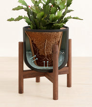 Load image into Gallery viewer, Stone Black stand:walnut