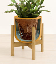 Load image into Gallery viewer, Sunset Orange stand:bamboo