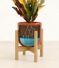 Load image into Gallery viewer, Glossy Red stand:bamboo