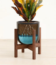 Load image into Gallery viewer, Stone Black stand:walnut