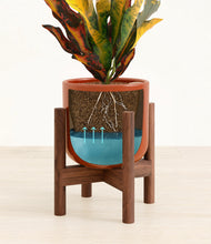 Load image into Gallery viewer, Glossy Red stand:walnut