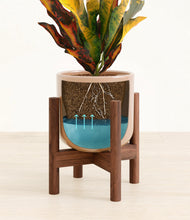 Load image into Gallery viewer, Glossy Pink stand:walnut