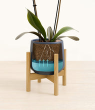 Load image into Gallery viewer, Deep Navy stand:bamboo