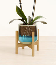 Load image into Gallery viewer, Turquoise stand:bamboo