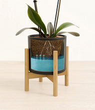 Load image into Gallery viewer, Black stand:bamboo