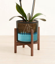 Load image into Gallery viewer, Black stand:walnut