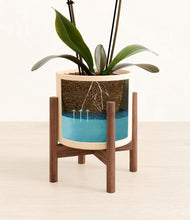 Load image into Gallery viewer, Cream stand:walnut