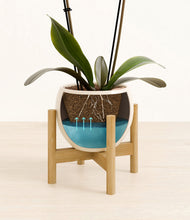 Load image into Gallery viewer, Shiny EggWhite stand:bamboo