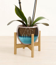 Load image into Gallery viewer, Winter Clouds stand:bamboo