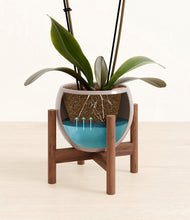 Load image into Gallery viewer, Winter Clouds stand:walnut