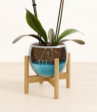 Load image into Gallery viewer, Deep Ocean stand:bamboo