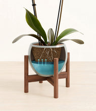 Load image into Gallery viewer, Deep Ocean stand:walnut