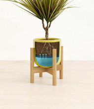Load image into Gallery viewer, Key Lime Yellow stand:bamboo
