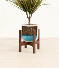 Load image into Gallery viewer, Cotton White stand:walnut