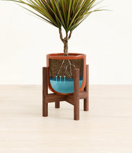 Load image into Gallery viewer, Glossy Red stand:walnut