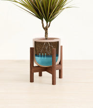 Load image into Gallery viewer, Sandy Pink stand:walnut