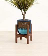 Load image into Gallery viewer, Twilight Blue stand:walnut
