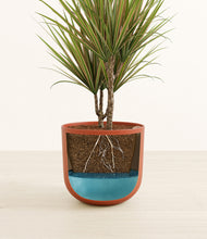 Load image into Gallery viewer, Earth Red