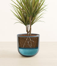 Load image into Gallery viewer, Iron Gray