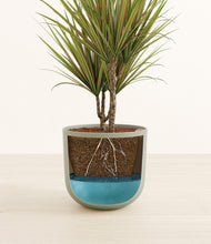 Load image into Gallery viewer, Sage Green