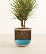 Load image into Gallery viewer, Sandy Pink