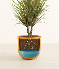 Load image into Gallery viewer, Sunset Orange