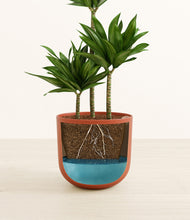 Load image into Gallery viewer, Earth Red